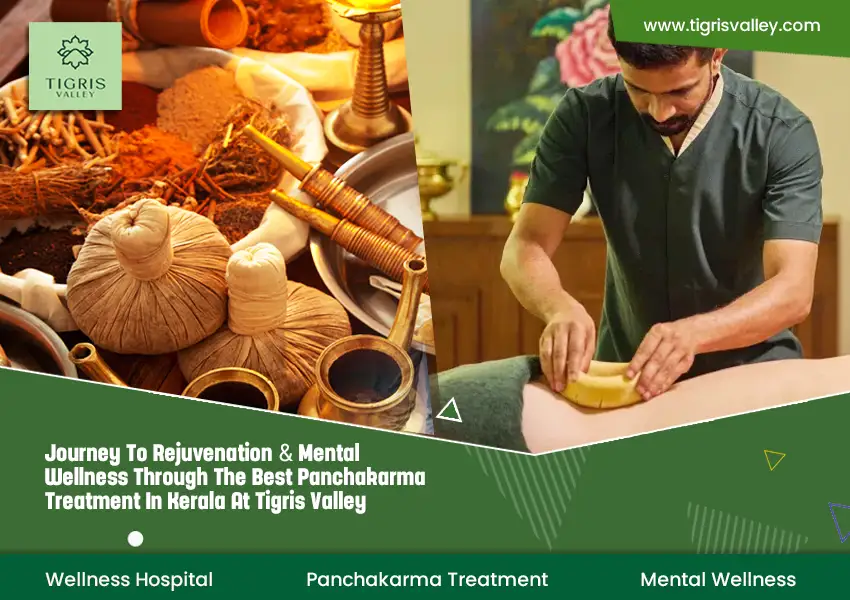 ayurvedic panchakarma treatment in kerala