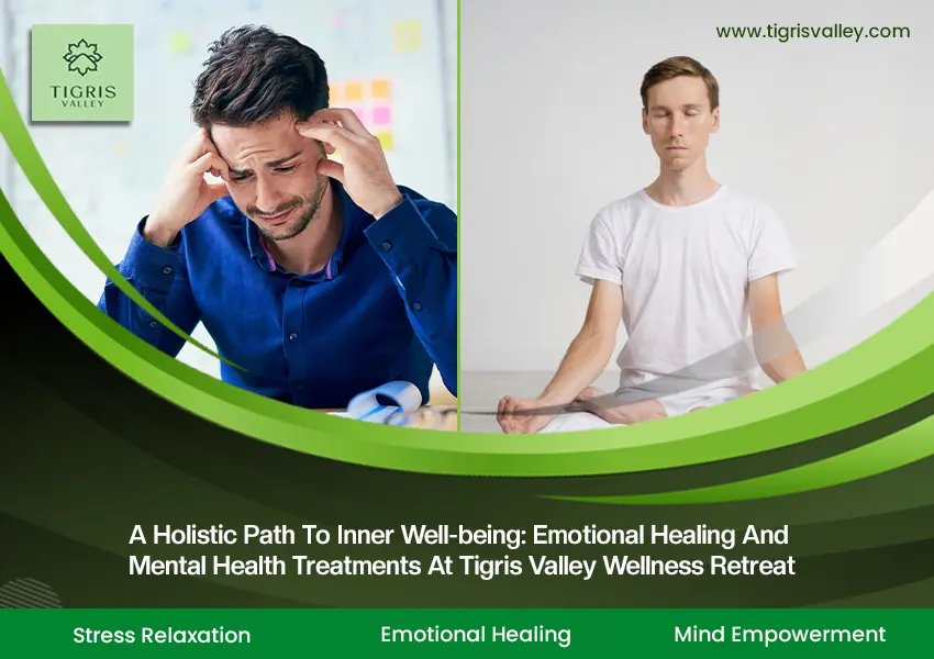 A Holistic Path to Inner Well-being: Emotional Healing and Mental Health Treatments at Tigris Valley Wellness Retreat