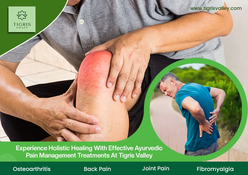 Experience Holistic Healing with Effective Ayurvedic Pain Management Treatments at Tigris Valley