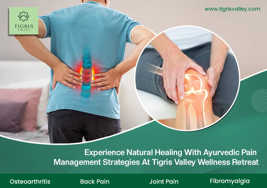 Ayurvedic Pain Management Treatment at Tigris Valley